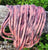 Mountain Trail Mohair .