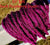 Mountain Trail Dark Rasberry Crush