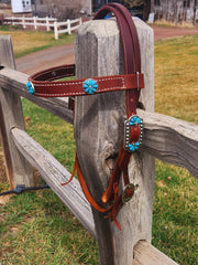 Browband Headstall with Turquoise Conchos