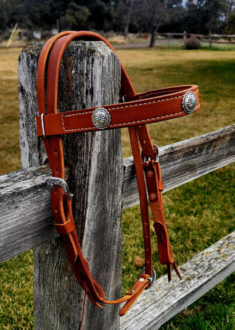 Browband Headstall with Turquoise Conchos