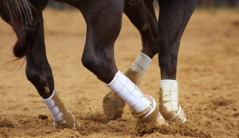 White sales boots horse